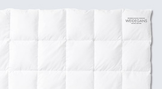 Österreichische Premium Weidegans Medium